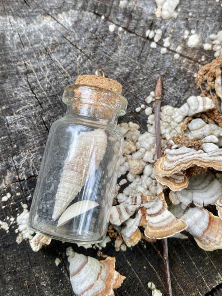 Shell Bottle Necklace