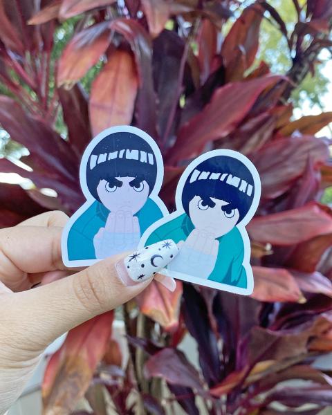 Rock Lee Set of 3 Stickers picture