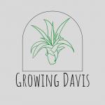 Growing Davis
