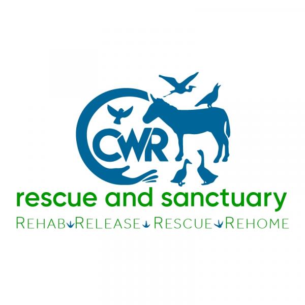 Carolina Waterfowl Rescue