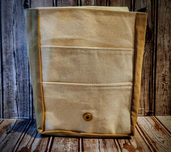 Ancients Pokémon bags picture