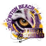 Tiger Sound Marching Band