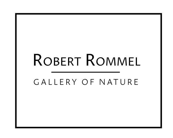 Robert Rommel - Gallery of Nature