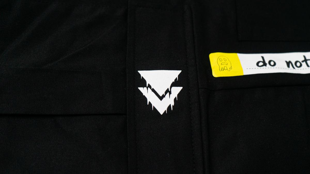 FFW Cargo Pants picture