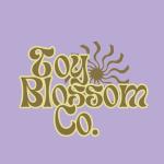 Toy Blossom Co.