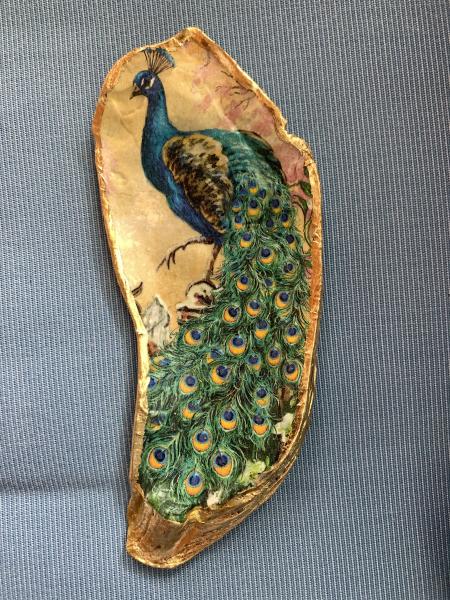 Large Peacock Oyster Shell Trinket Dish picture