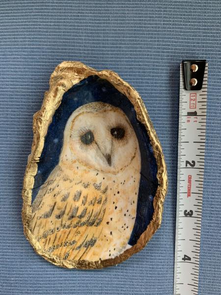 Owl Oyster Shell Trinket Dish picture