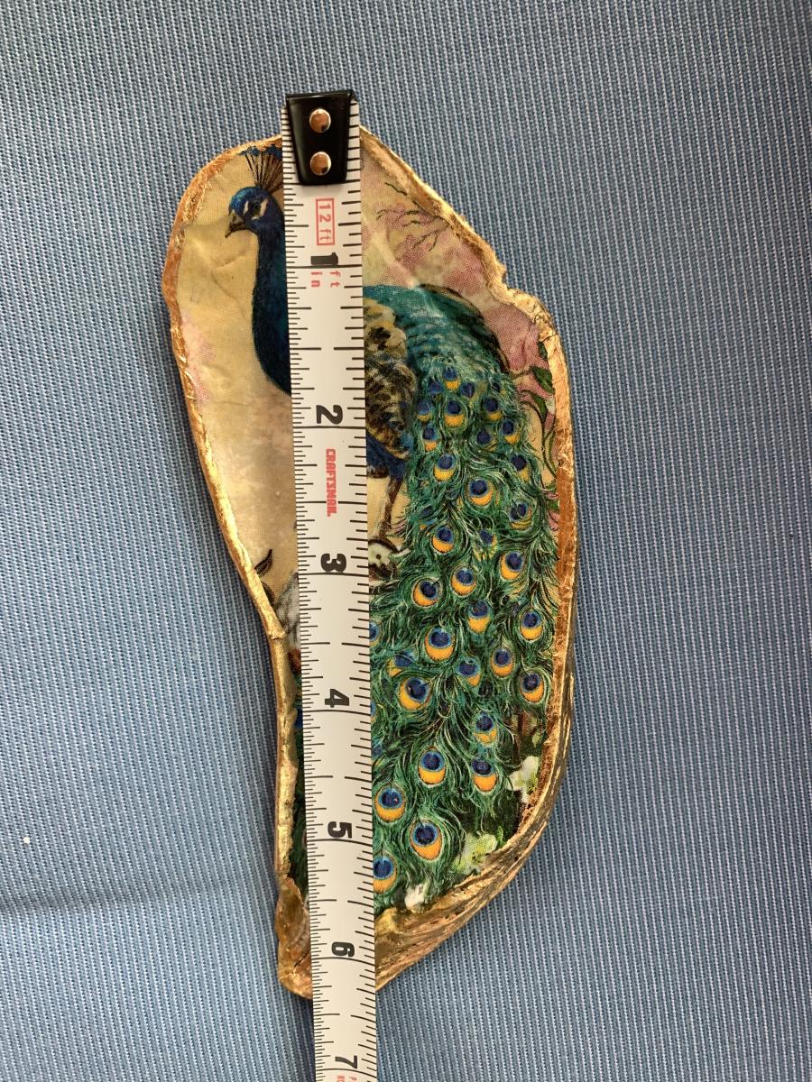 Large Peacock Oyster Shell Trinket Dish picture