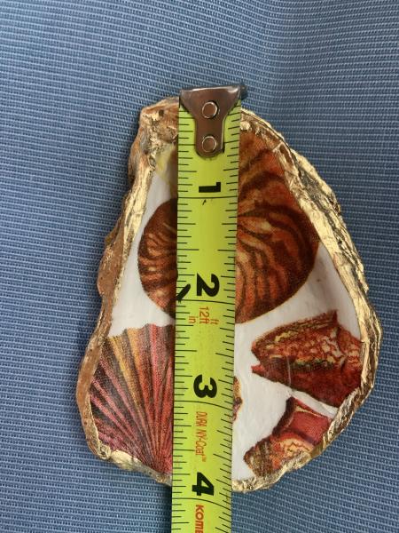 Orange Shell Oyster Shell Trinket Dish picture