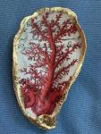 Red Coral Oyster Shell Trinket Dish
