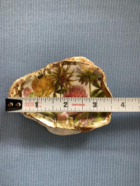 Clover Oyster Shell Trinket Dish picture