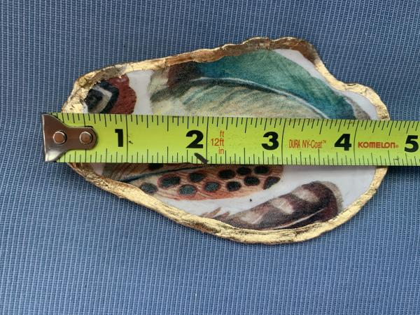 Feathers Oyster Shell Trinket Dish picture