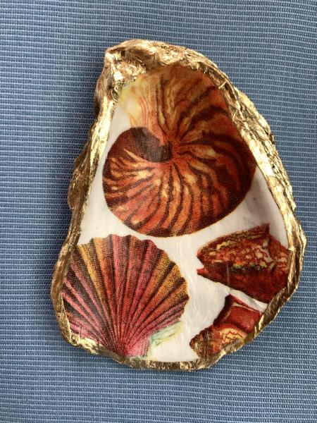 Orange Shell Oyster Shell Trinket Dish