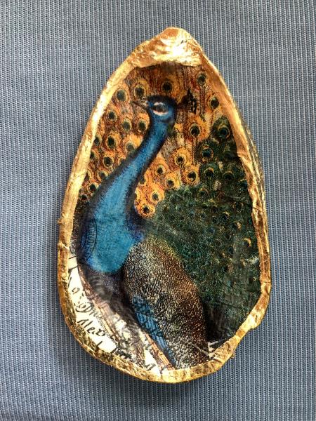 Peacock Oyster Shell Trinket Dish