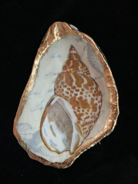 Shell Oyster Shell Ring Dish