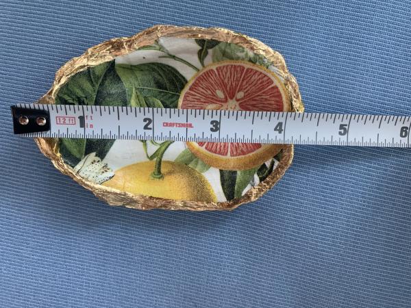 Grapefruit Oyster Shell Trinket Dish picture