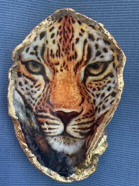 Tiger Oyster Shell Trinket Dish