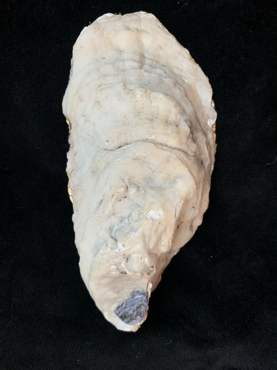 &ldquo;The Wave&rdquo; Oyster Shell Trinket Dish picture