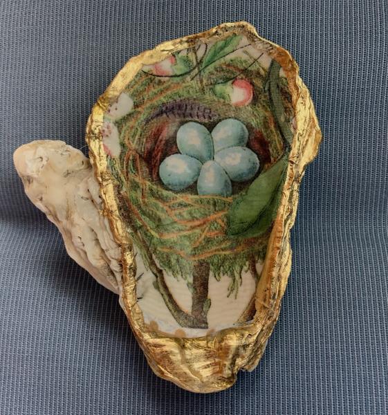Bird’s Nest Oyster Shell Trinket dish