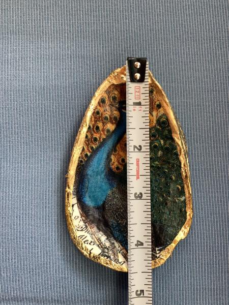 Peacock Oyster Shell Trinket Dish picture