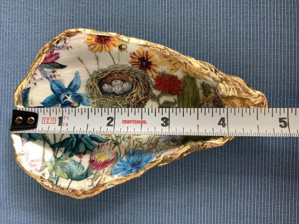 Bird Nest Oyster Shell Trinket Dish picture