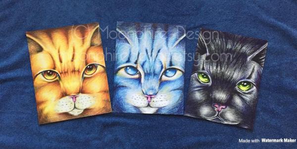 Cat Print Poster Set