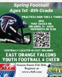 East Orange Falcons