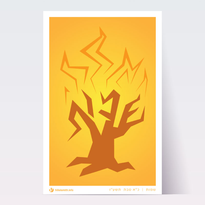 Individual Parsha Posters for each Torah Portion picture