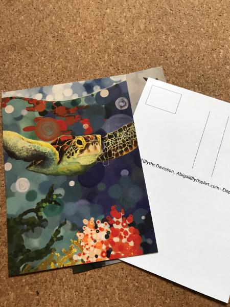 Red Turtle Postcard