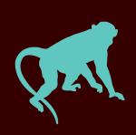 Lucky Monkey