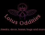 Lotus Oddities