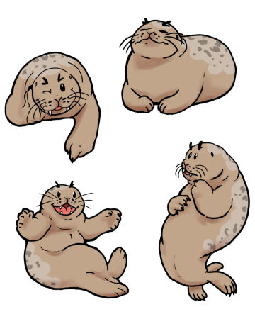 Fat Seals picture