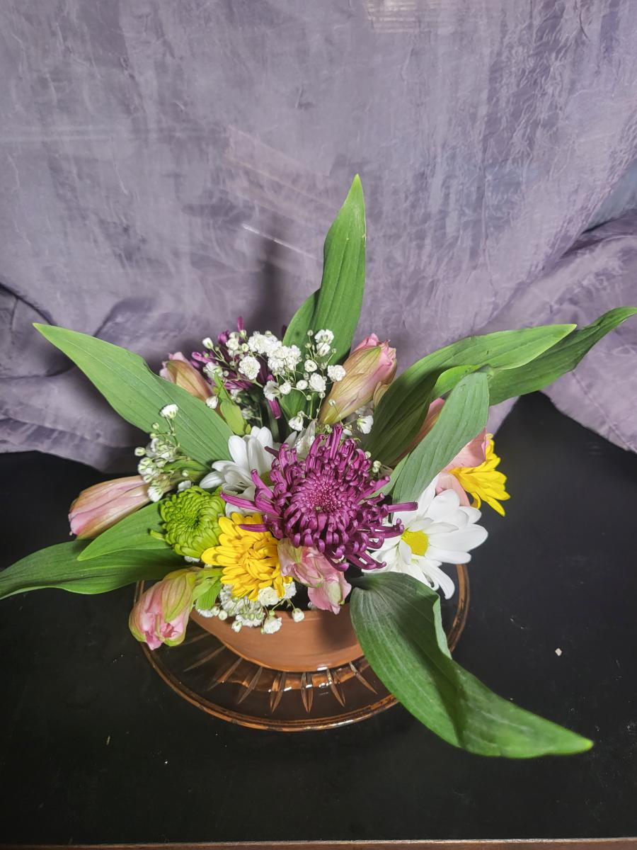 The Garden Circle Webinar picture