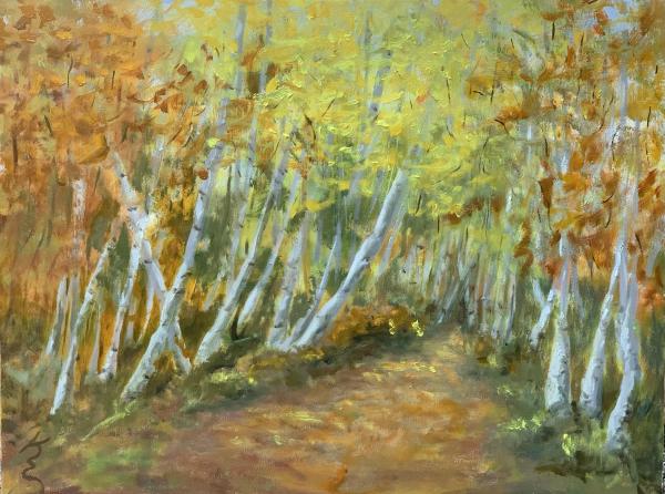 Birch Lit Path picture