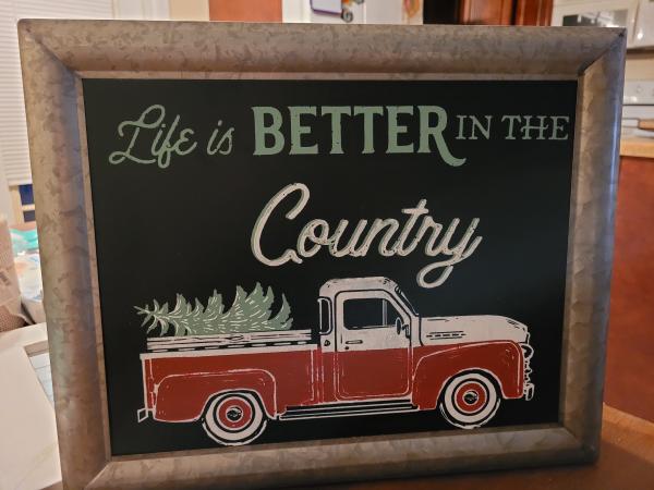 Better in the Country picture