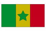 African Roots