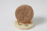 Pomegranate with Loofah - Floral Round