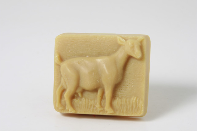 Really Raspberry - Standing Goat picture