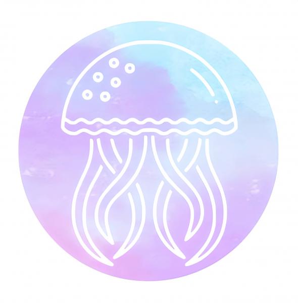 The Jellyfish Vibe