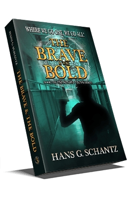 The Brave and the Bold by Hans Schantz picture