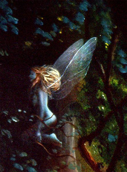 Fairies in the Tropics Print picture