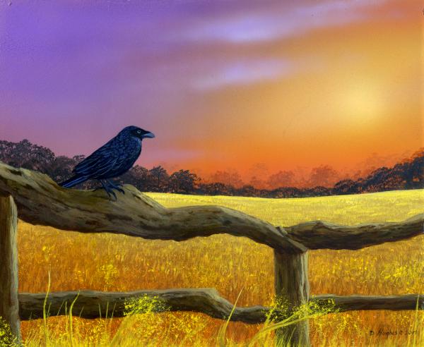 The Crow Field picture