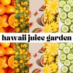 Hawaii Juice Garden