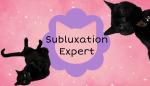 SubluxationExpert