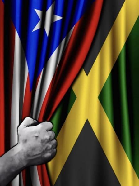 All flavors Bistro Sofrito Jerk