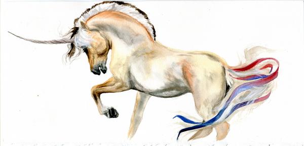 Fjord Horse Unicorn picture