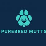 PureBred Mutts