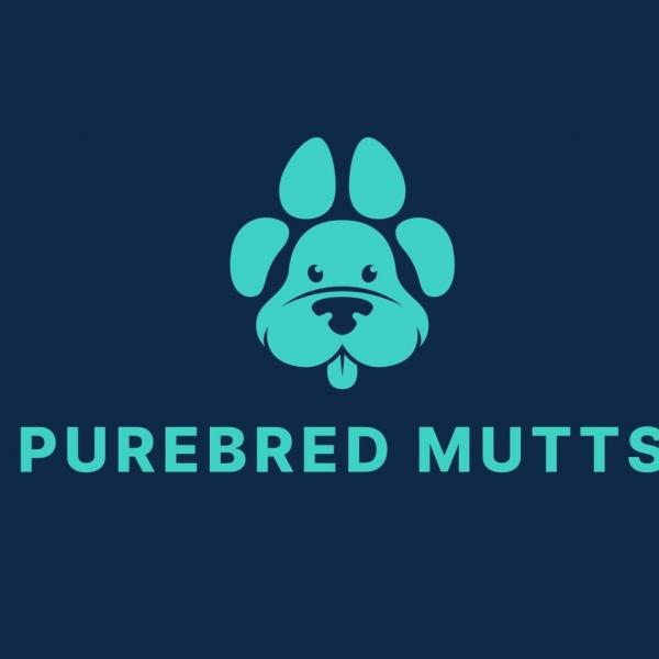 PureBred Mutts