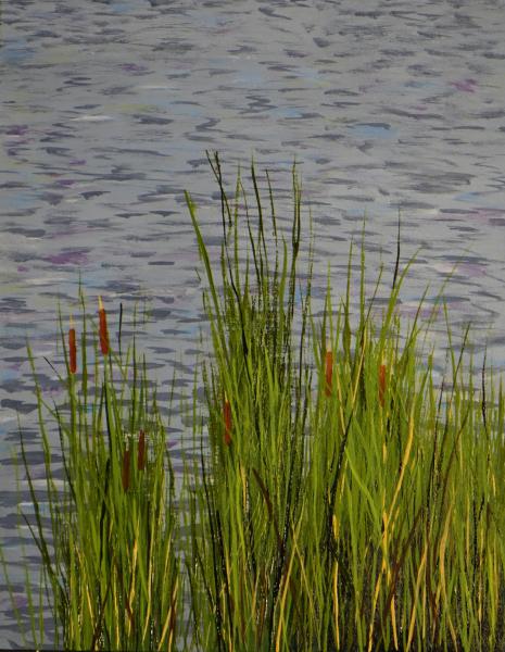 Cattails - 10.9 x 14 picture