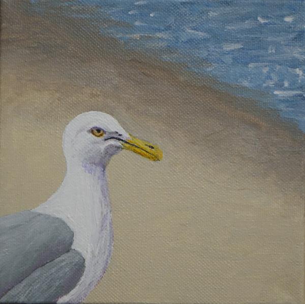 Ethel & Dewey - Beach Gulls, Single Note Cards picture